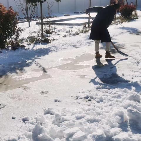 以雪为令 用爱守护——【王申楼幼儿园】清雪活动纪实