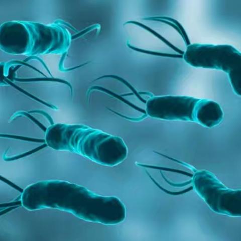 幽门螺杆菌感染，到底要不要治疗？