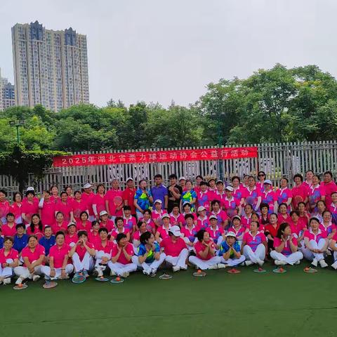 湖北省柔力球运动协会公益行（武汉市青山区站） 传递健康，共享快乐