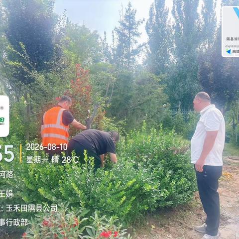 精细保洁提质增效 全力擦亮城市颜值 ﻿玉禾田隰县公司 常态化开展环境整治工作