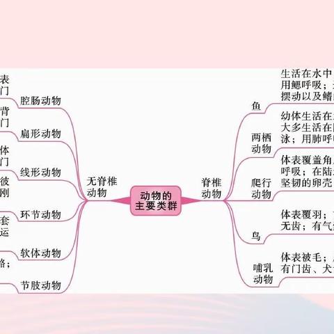 生物课妙趣横生---德州阳光未来外国语学校生物手抄报活动纪实。