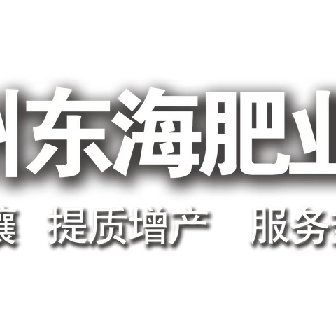 如何正确观看鑫宇高钙、六维肥在各种作物上的表现