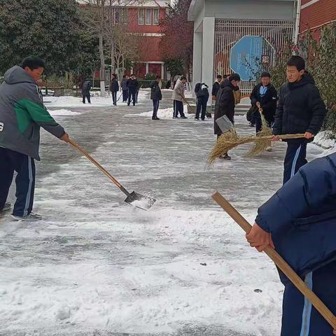 濮阳市第四中学七年级九班义务扫雪🌨️活动