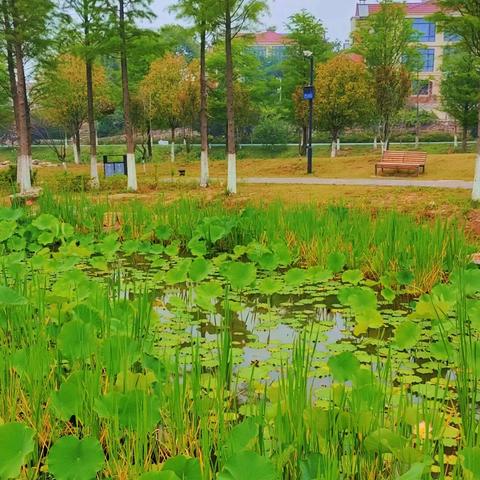 襄水之源 丽人灿彩——襄城区老年大学旗袍手韵班第二课堂活动