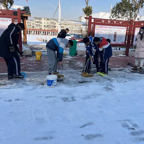 晨光落雪日色寒，校园除雪护平安——油田第五中学七年级七班师生扫雪活动