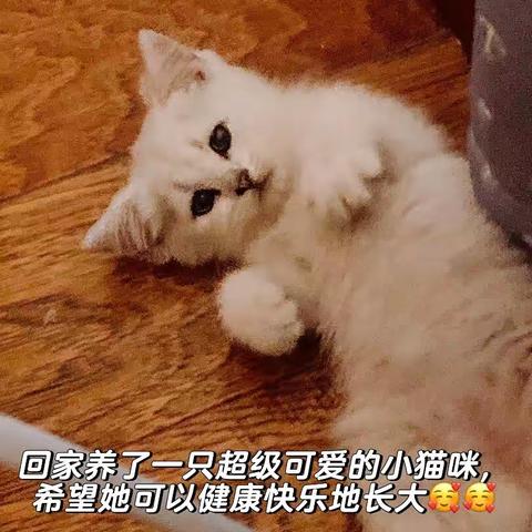 鼻咽癌化疗后会出现哪些症状，我“康复”啦