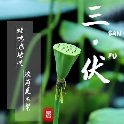 【宇辰物业】2024年7月份第 2 周物业工作简报