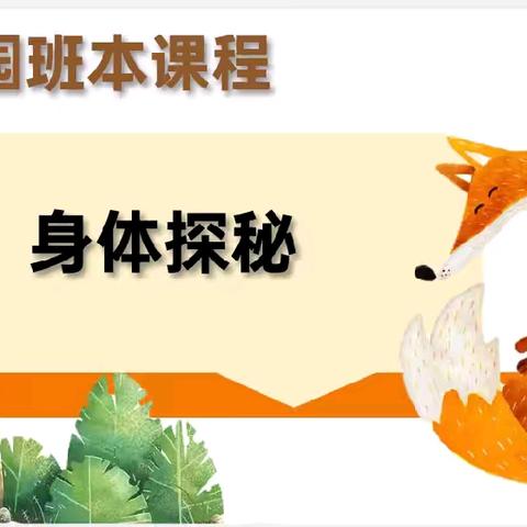 朵朵五班班本课程“身体探秘”