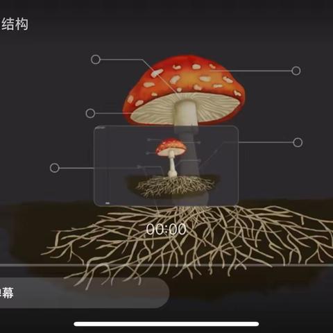 【22班生成课程】第三篇章   嗨，蘑菇！