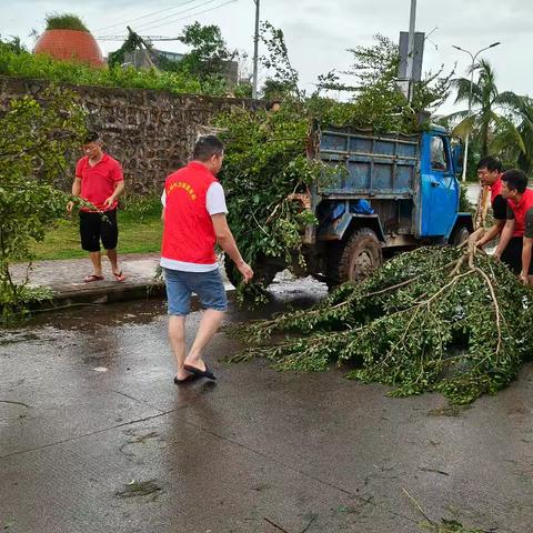 长德村开展“摩羯”台风过境后环境整治工作