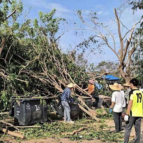 长德村持续开展台风灾后环境整治工作