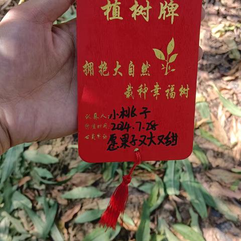 小田园果蔬基地共享农场