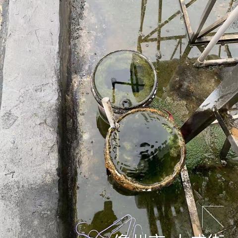 那大镇大同社区居委会开展加强防蚊灭蚊预防登革热活动