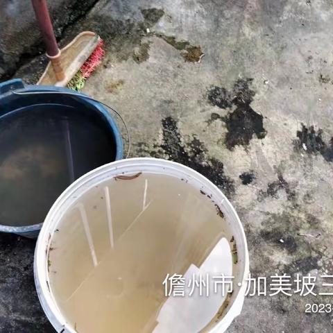 那大镇大同社区居委会开展加强防蚊灭蚊预防登革热活动