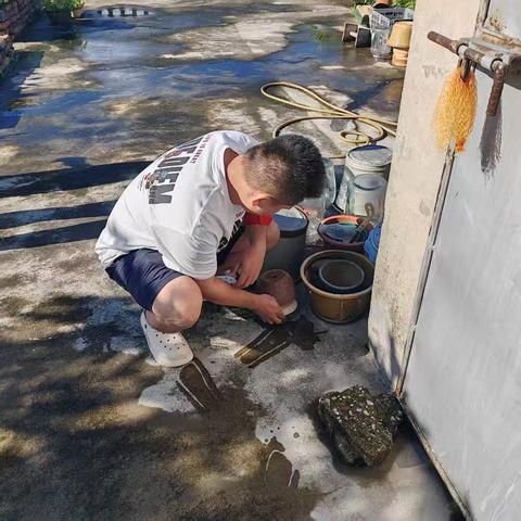 那大镇大同社区开展“清洁家园  防蚊灭蚊”基孔肯雅热、登革热疫情防控工作
