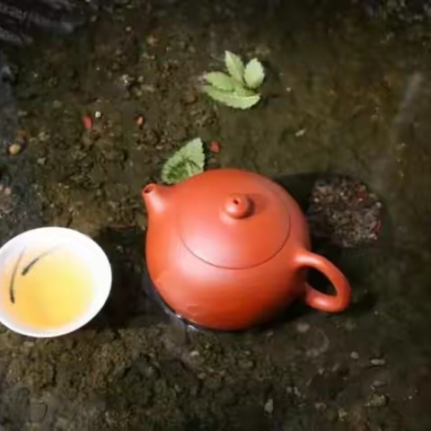 茶的寓意，你知道多少？