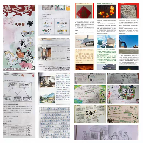 寒假作业 “大变样”，创意实践收获满满——郑州市第六十三中学特色寒假作业精彩回顾