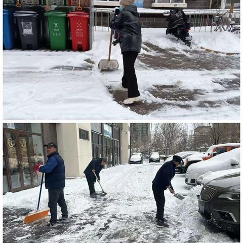 金一社区开展扫雪除冰暖人心活动