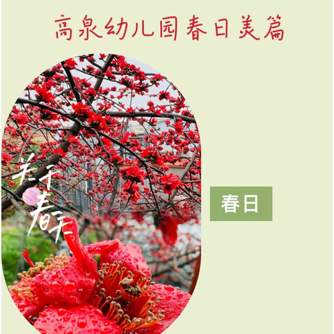 “🌷春意萌动，美好渐浓” ——高泉幼儿园“探秘春天”🌿主题活动