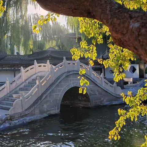 深秋相聚碑林公园：姐妹们的金色回忆