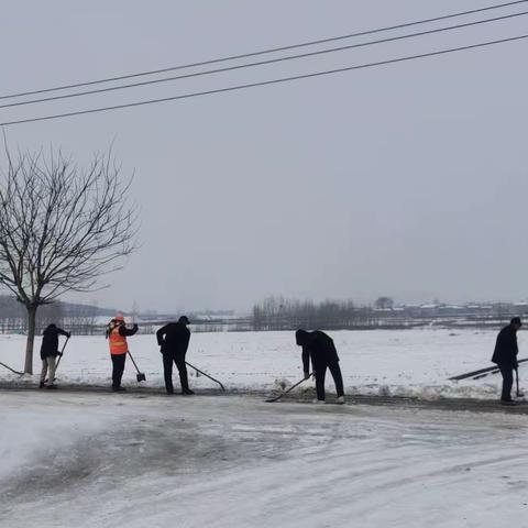 临淇镇秦家岗村          ——冬日暖人心，扫雪我先行