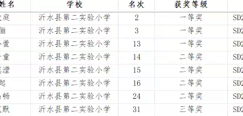 逐梦蓝天！沂水二小学子在2025全国纸飞机嘉年华山东赛区斩获多项佳绩