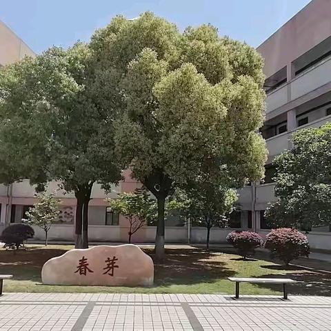 【金小·党建】铸牢校园安全 守护平安校园