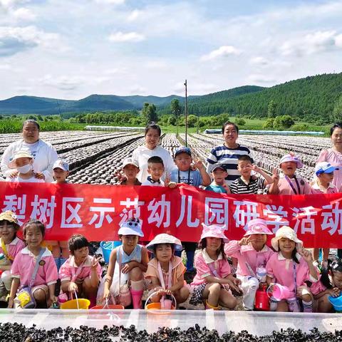 【毕业季】梨树区示范幼儿园——探秘黑木耳，解锁新成长毕业季系列活动