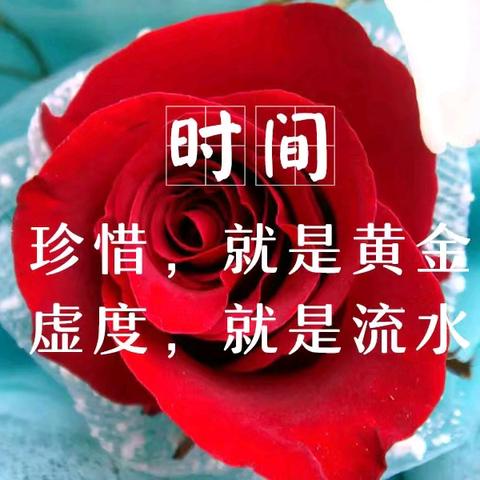 人生感悟：生活不易 ，坦静最宜！