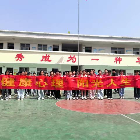 精准施策强内功 协同共进谱新篇 ——韩桥小学第15周工作总结