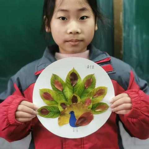 三3班树叶拼图展示