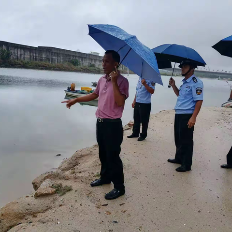 海丰村开展防暴雨应急工作