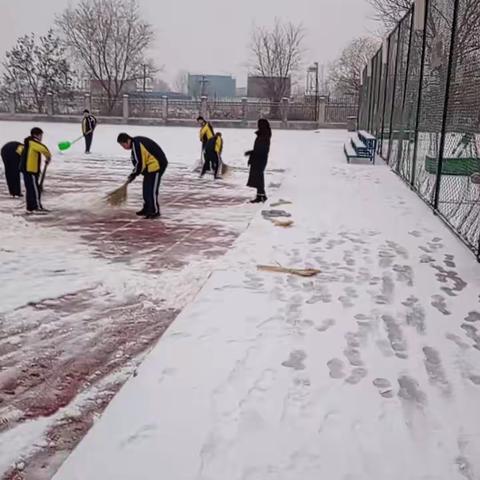 凝心聚力清积雪，温情暖意满校园