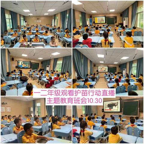 新龙中心学校组织观看海南省2025年第四场“护苗行动”活动