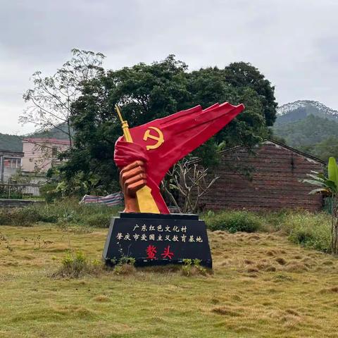 彭冲湾小学党支部党性学习活动