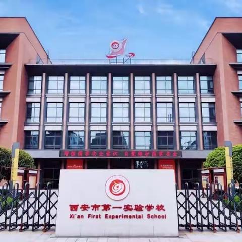 《逐浪前行，荣耀绽放——经开区游泳比赛获奖记》