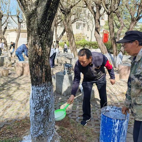 嵩明县牛栏江镇第二初级中学党建带团建校园树木防虫粉刷活动