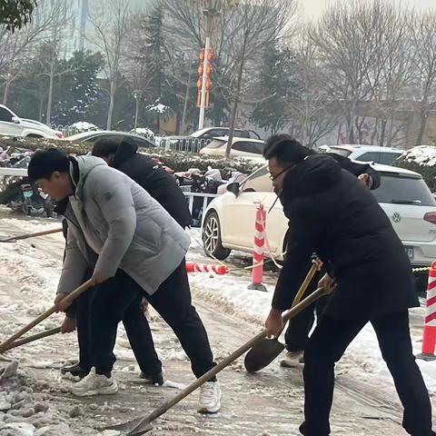 以雪为令 志愿同行丨扫雪铲冰在行动,中信党支部志愿者暖人心！