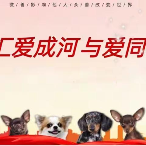 小七流浪猫狗基地募集过冬保暖品