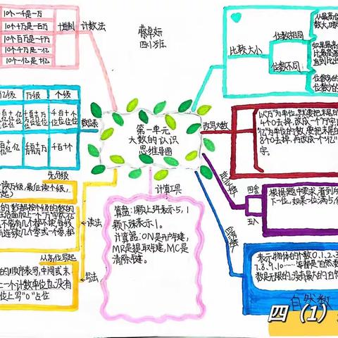 巧绘思维导图，点亮单元梳理 ———育才华岭小学四年级特色作业展示（一）