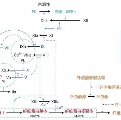 医学检验科新项目开展