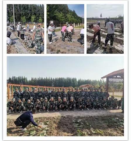 青春心向党  沙场展轩昂——记一四九团中学参加劳动实践暨国防教育活动纪实