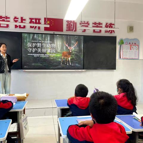 守护自然精灵，共筑生态家园