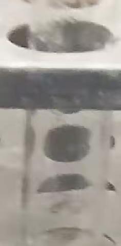 核工业卫生学校护理254谢湘存化学实验报告