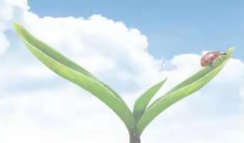 蒲山镇高庄中心小学“扫黄打非•护苗2022”绿书签宣传活动总结