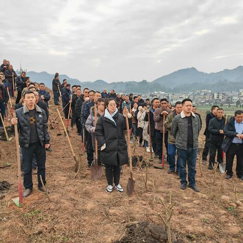 厚植生态优势 共绘绿色乡村——琊川镇开展2023年春节义务植树造林活动