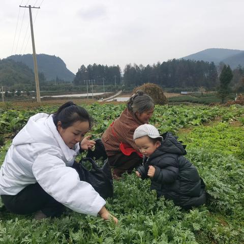 菜园趣事：土溪老家的菜园子与儿子的成长