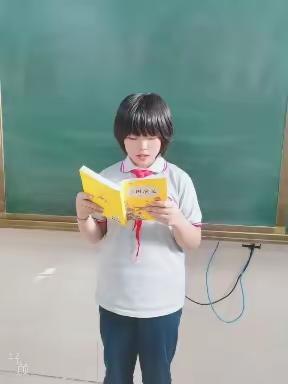 蚕宝宝成长记