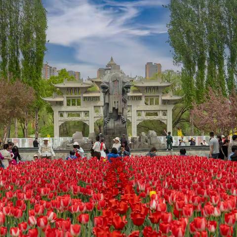 夏都五月 花娇人艳竟风华