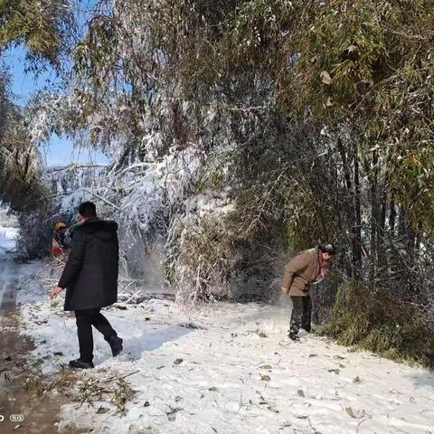 党旗飘飘:冰天雪地中的红色力量